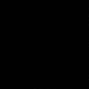 Meet your Posher, Deonquez